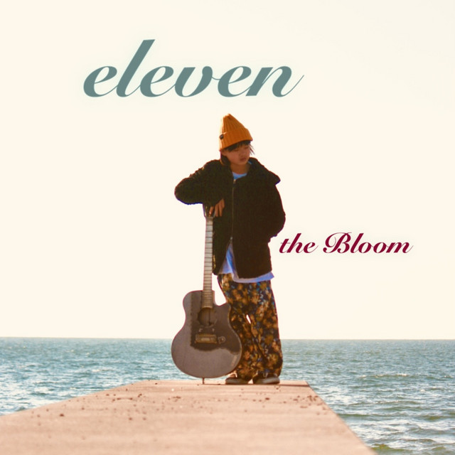 eleven cover art