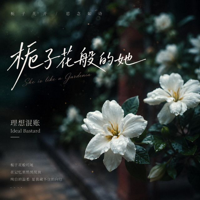 理想混账