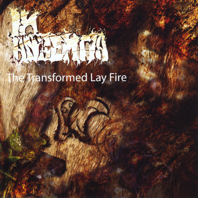 The Transformed Lay Fire cover