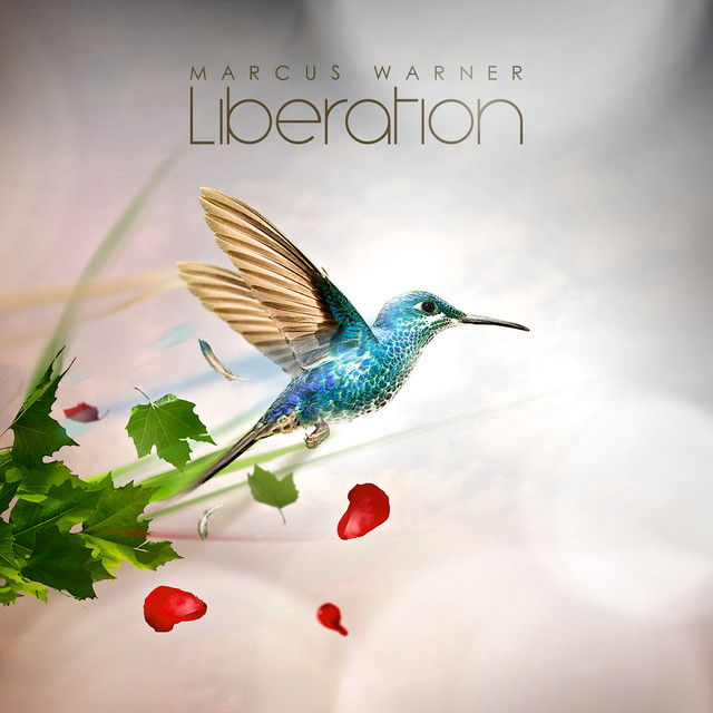 Liberation cover