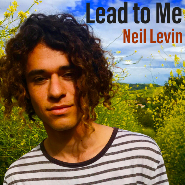 Lead to Me - Single by Neil Levin | Spotify