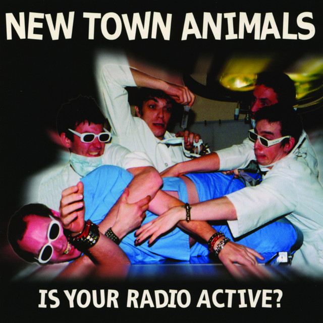 New Town Animals Photo