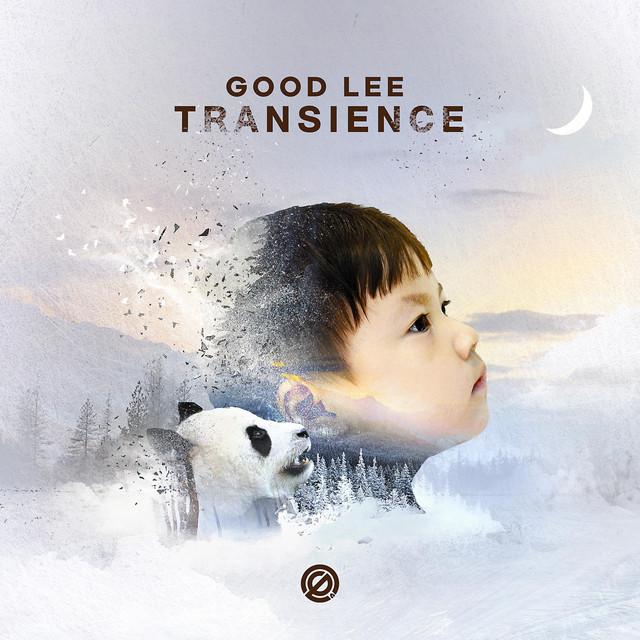 Transience cover art