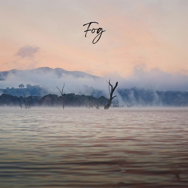 Fog cover