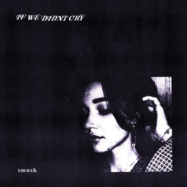 if we didn't cry cover art