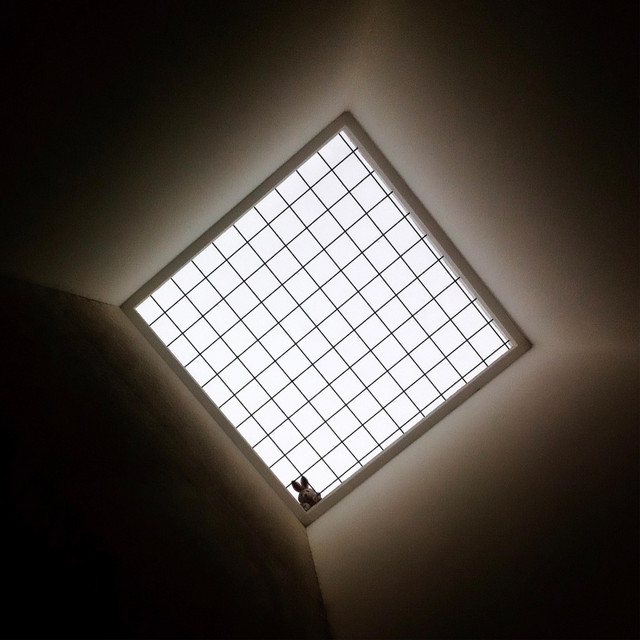 Bright Light
