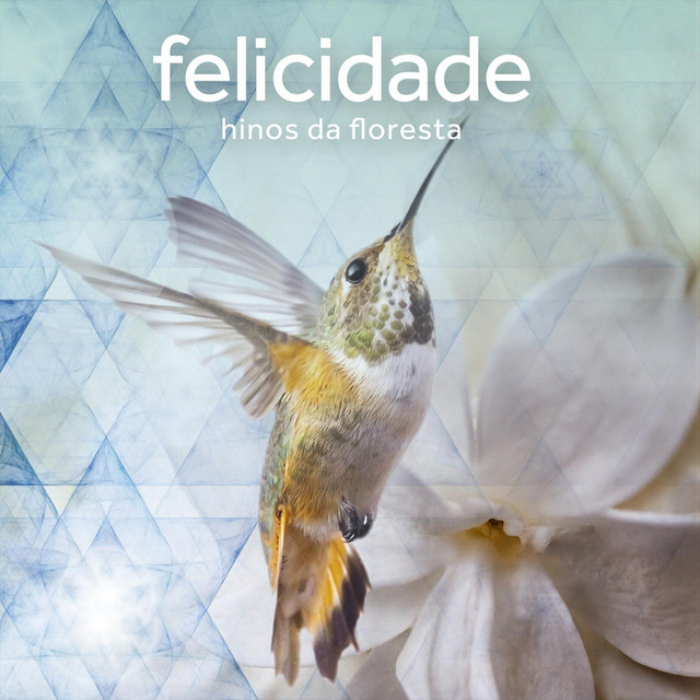 Felicidade Hinos da Floresta cover art