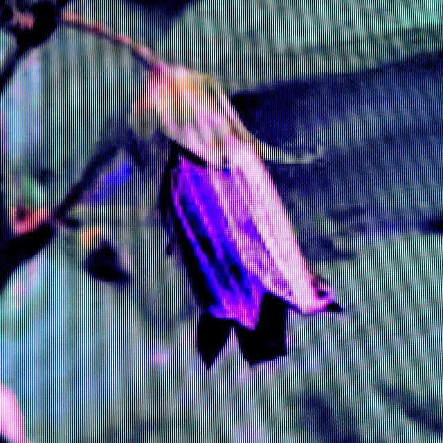 Nightmare cover art