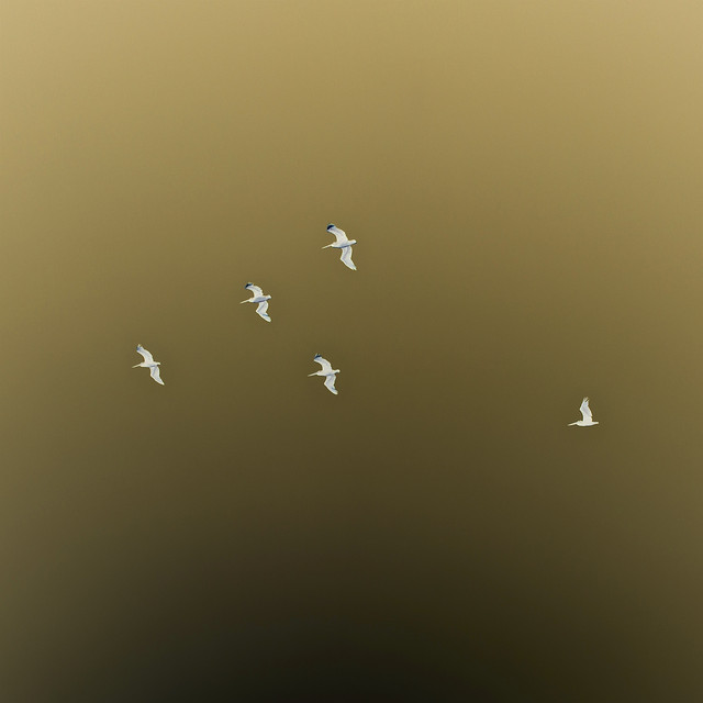 Despierto cover art