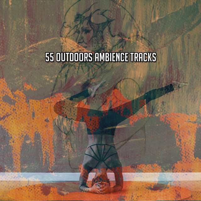 55 Outdoors Ambience Tracks cover art