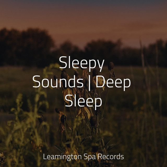 Sleepy Sounds | Deep Sleep - Album by Sounds Of Nature | Spotify