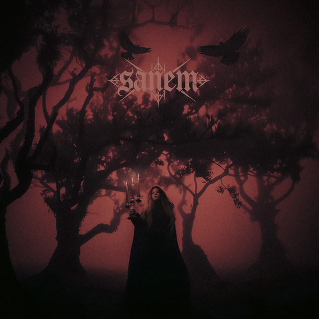 Kız Solgundu cover art