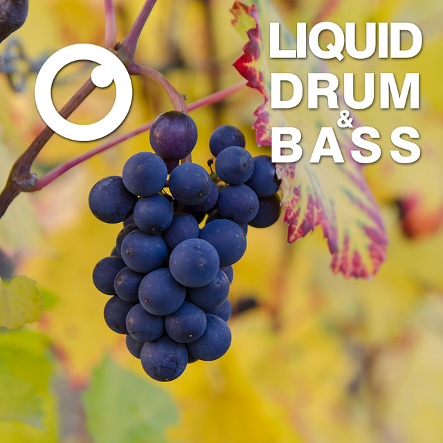 Liquid Drum & Bass Sessions 2020 Vol 15 - The Mix artwork
