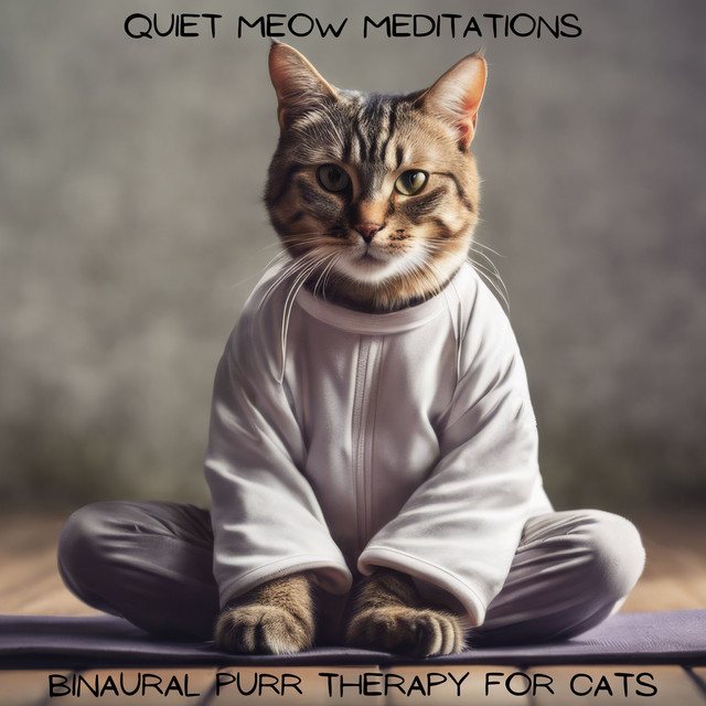 Quiet Meow Meditations: Binaural Purr Therapy for Cats