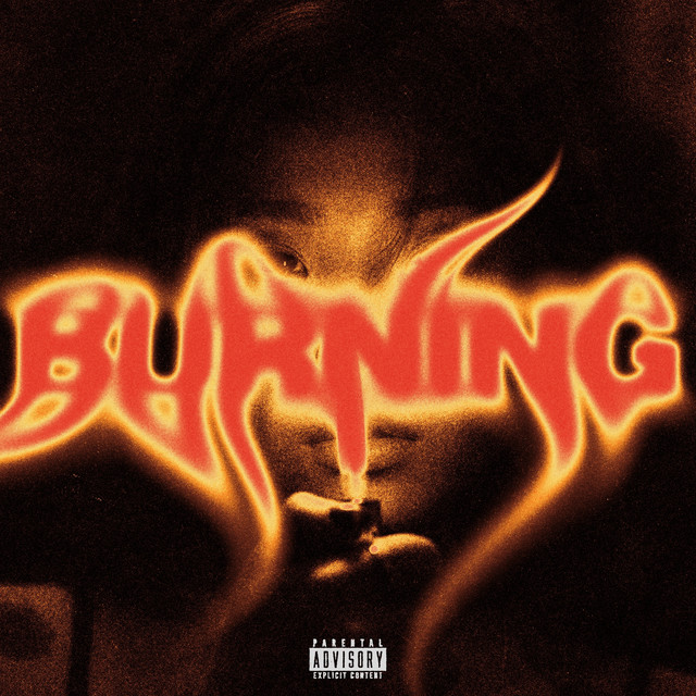 BURNING by Ron David