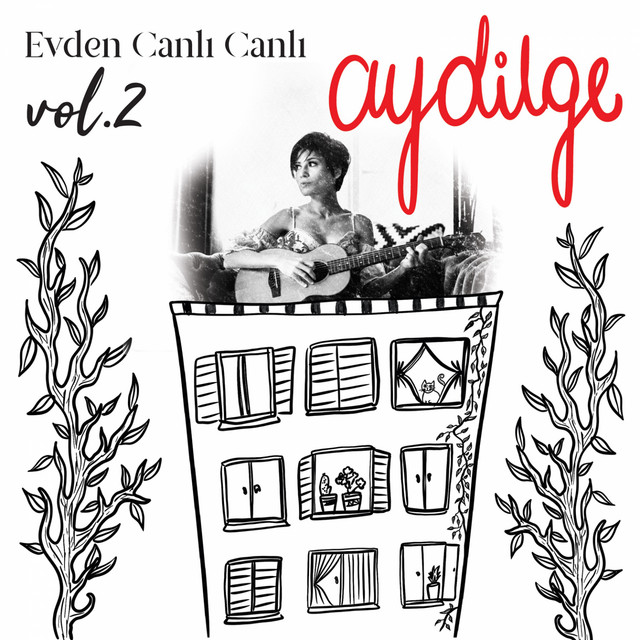 Evden Canlı Canlı, Vol. 2 cover art