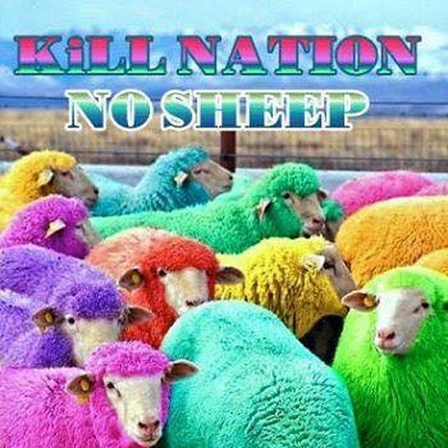 K.I.L.L. Camp