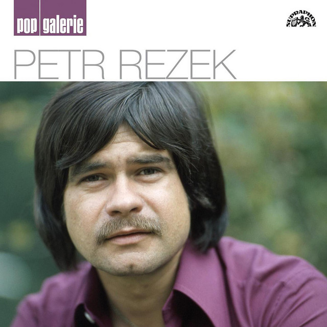 Pop galerie cover art