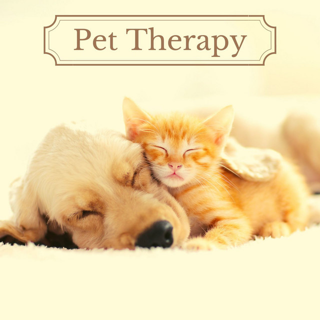 Pet Therapy: Reduce Hyperactivity, Relaxing Music for Cats & Dogs