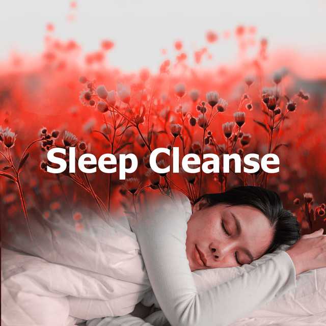 Sleep Cleanse cover art