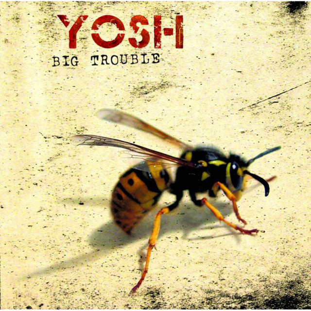 Big Troubles cover art