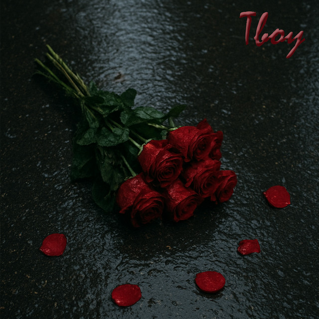 Обкладинка: Коли забуду — Tboy