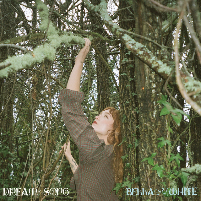 Dream Song cover art
