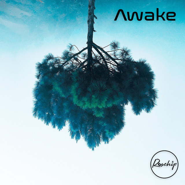 Awake