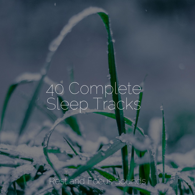 40 Complete Sleep Tracks - Album by Massage Tribe | Spotify