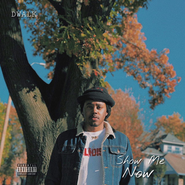 Show Me Now cover art