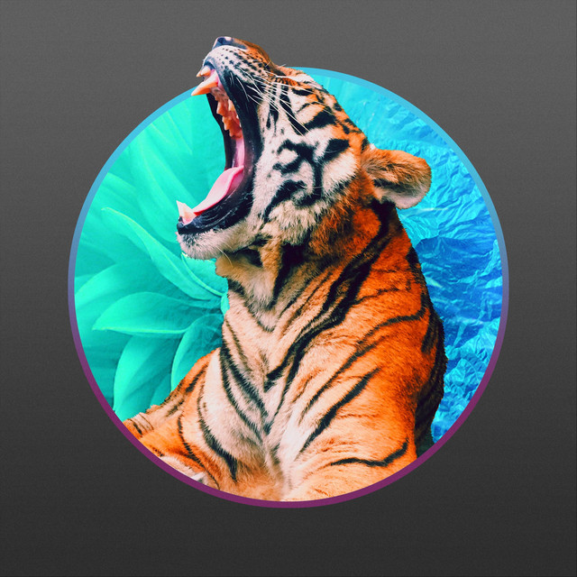 Predator cover