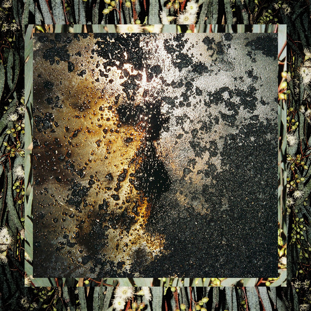 Fallen for Now cover art