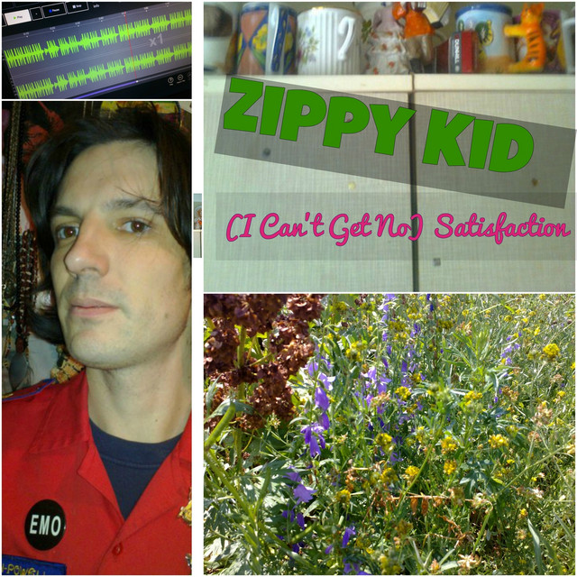 Обкладинка: (I Can't Get No) Satisfaction — Zippy Kid