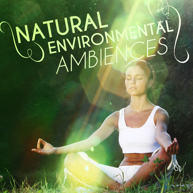Natural Environmental Ambiences cover
