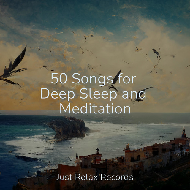50 Songs for Deep Sleep and Meditation - Album by Musica Reiki | Spotify