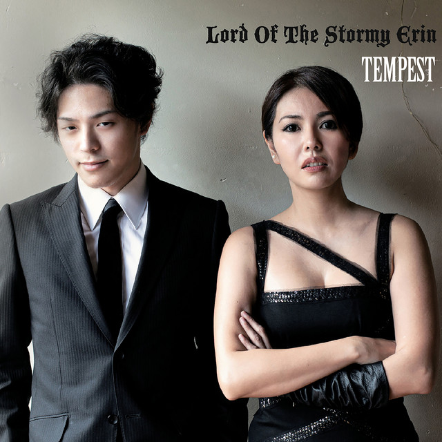 Lord Of The Stormy Erin cover art