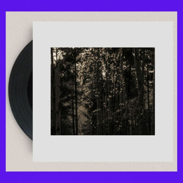 Icosahedrone cover art