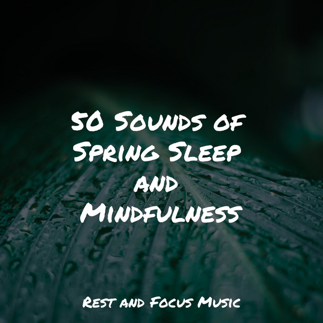 50 Sounds of Spring Sleep and Mindfulness - Album by Entspannungsmusik ...