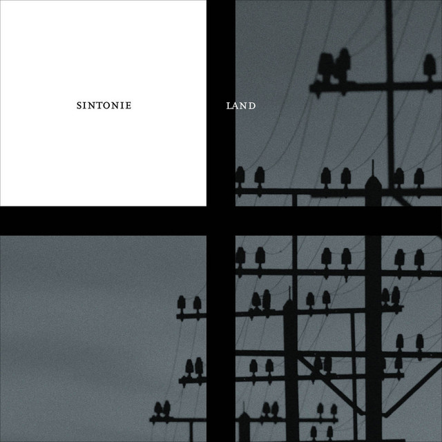Sintonie cover art