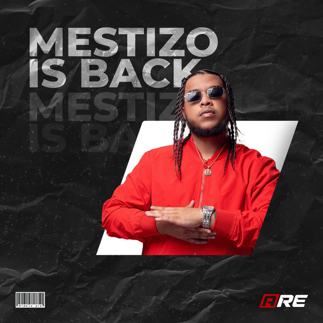 MESTIZO IS BACK - Single by Dimelo Are | Spotify