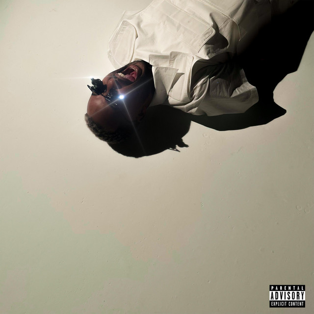 THE DEATH OF ROBERT SCOTT cover art