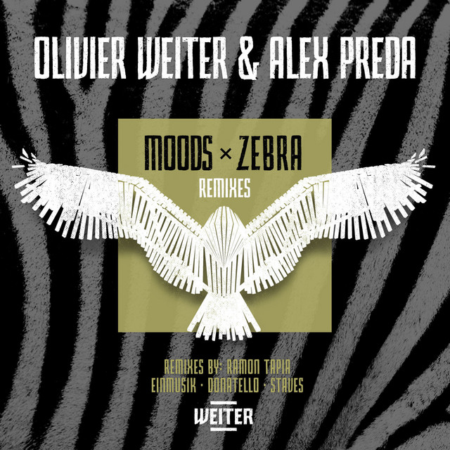 Zebra - Einmusik Remix cover art