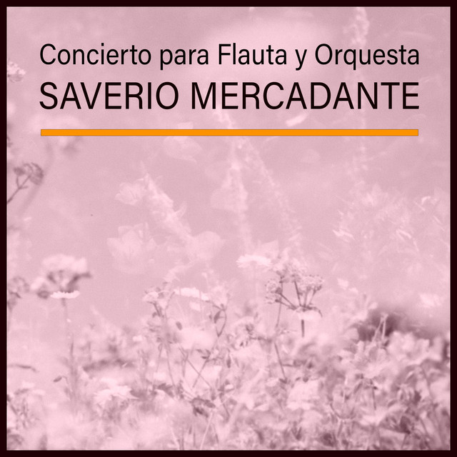 Concierto para Flauta y Orquesta, Saverio Mercadante