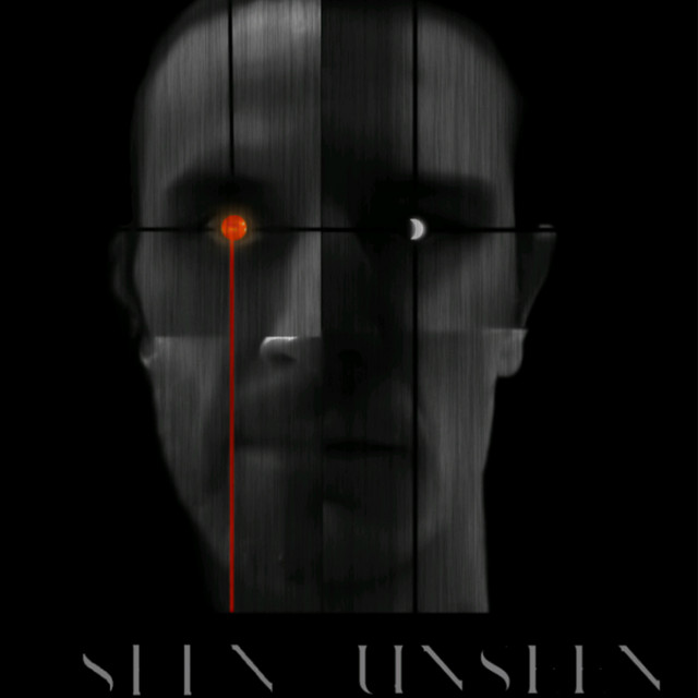 Seen/Unseen cover art