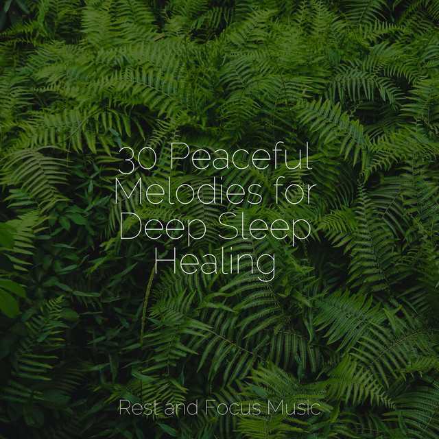 30 Peaceful Melodies for Deep Sleep Healing - Album by Massage Tribe ...