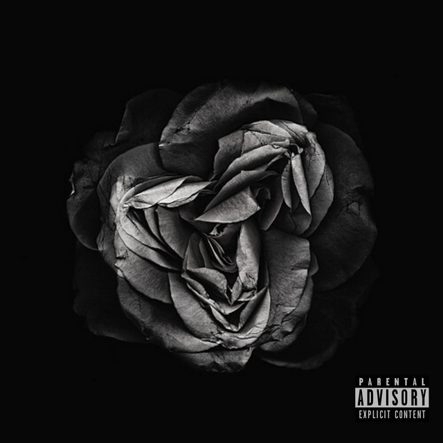 flower bloomed in a dark room cover art