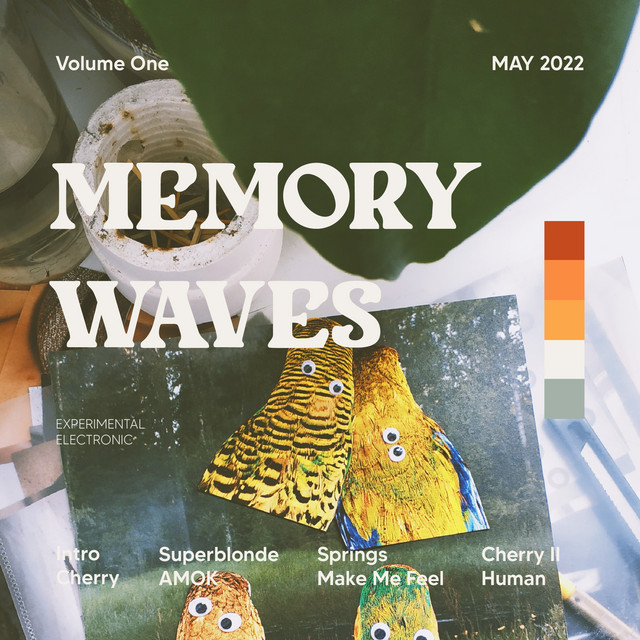 Memory Waves