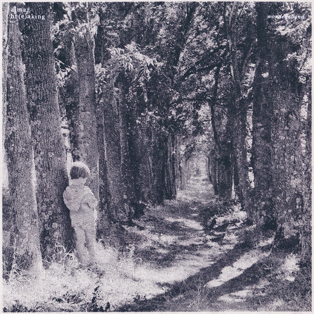 Br(e)aking cover art