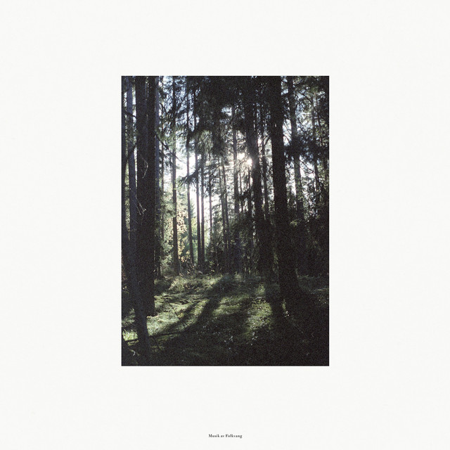 Folkvang cover art