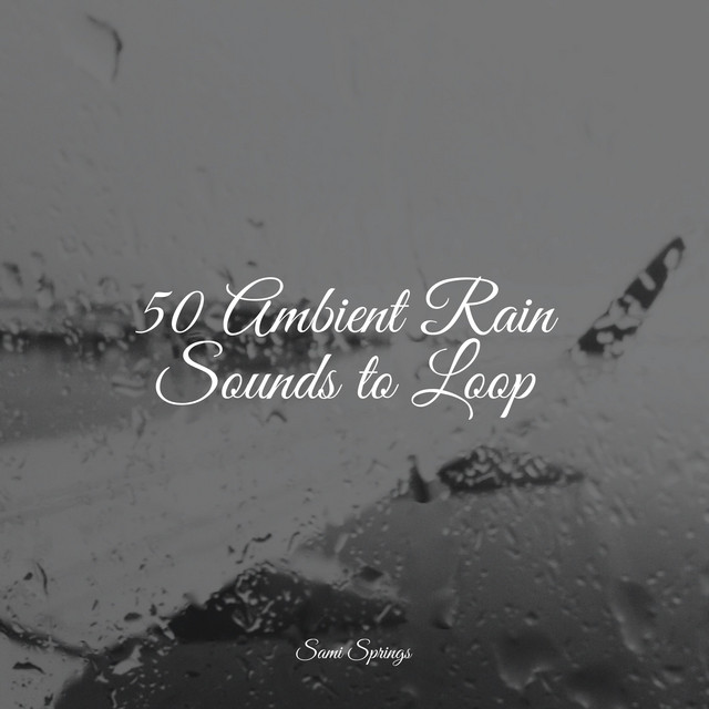 50 Ambient Rain Sounds to Loop - Album by Yoga Rain | Spotify